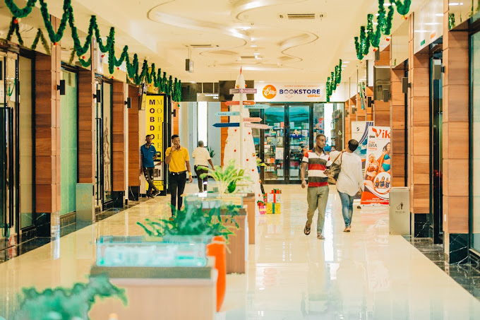 Palm Village mikocheni