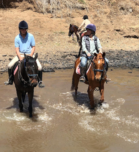 Saddlebags Adventures – Horse riding