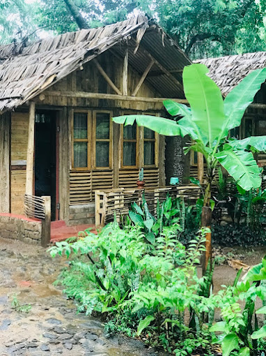 Backyard Moshi Eco Bungalow