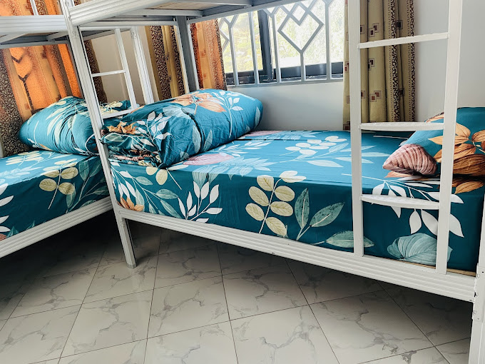 Mufasa city Hostel