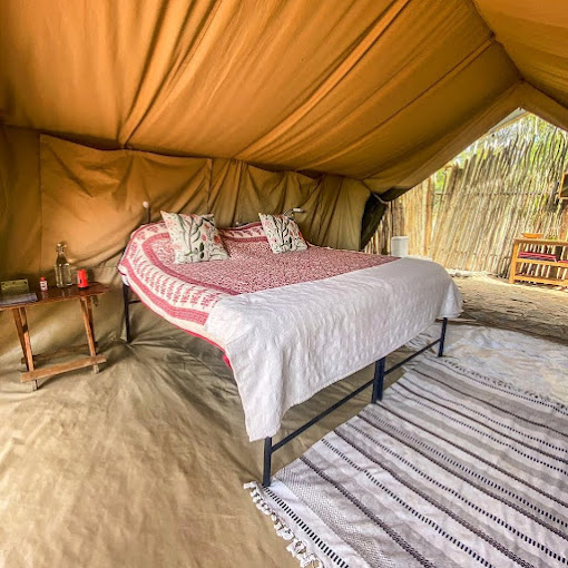 Moon’s Camp – The Safari Series Lolldaiga