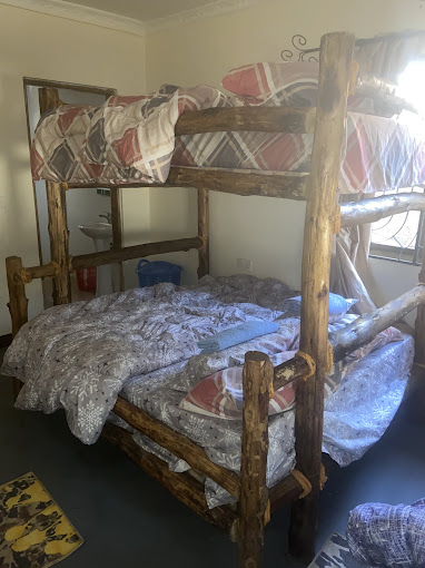 Cactus house experience