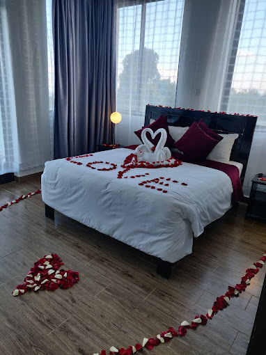 The Hotel Ezri – Meru