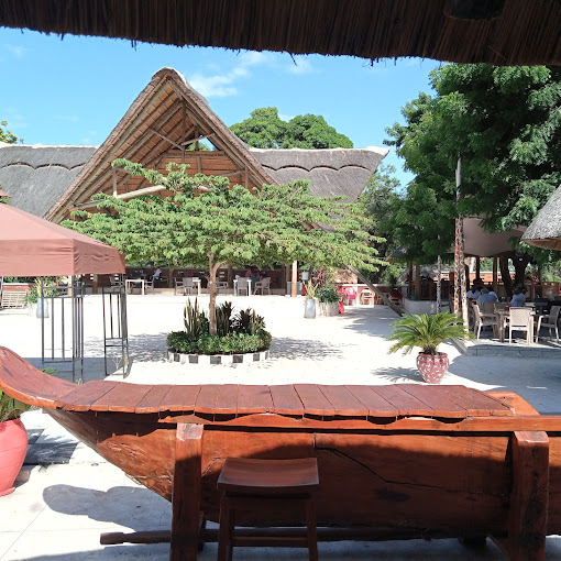 Brake Point Carnivore