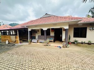 Cactus house experience