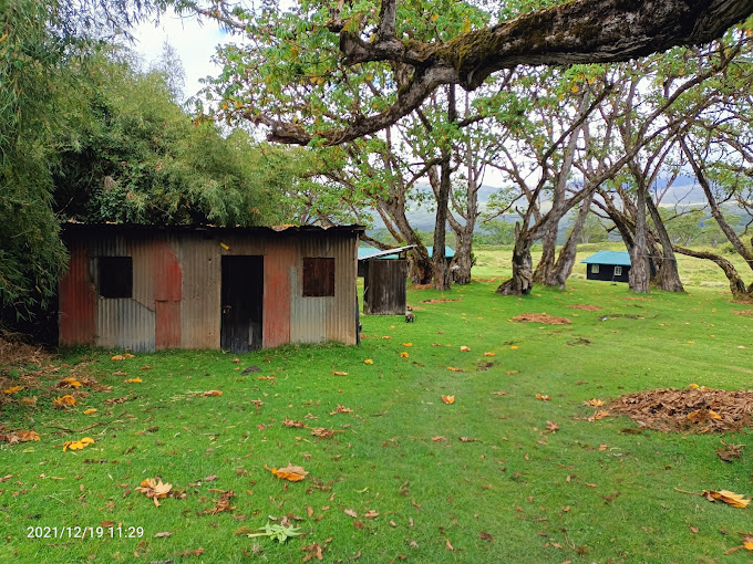 Mt Kenya National Park