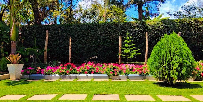 Sprunger Avenue Tulia Homes