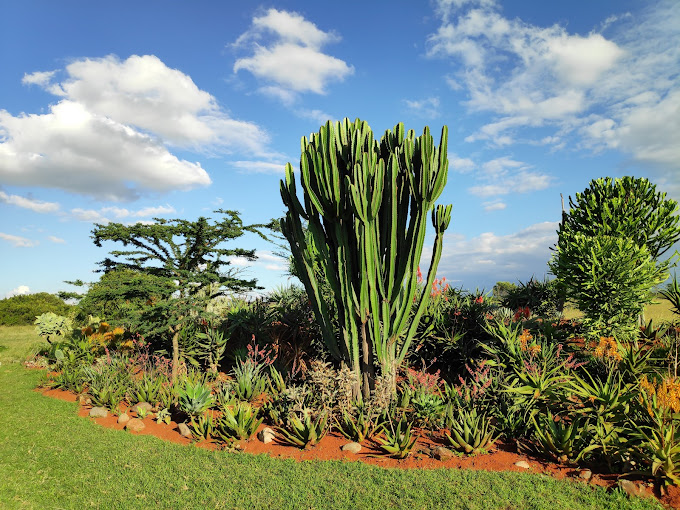 Mount Kenya Wildlife Estate