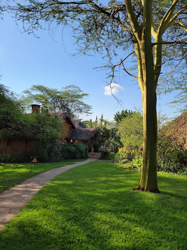 Lewa Safari Camp by Elewana