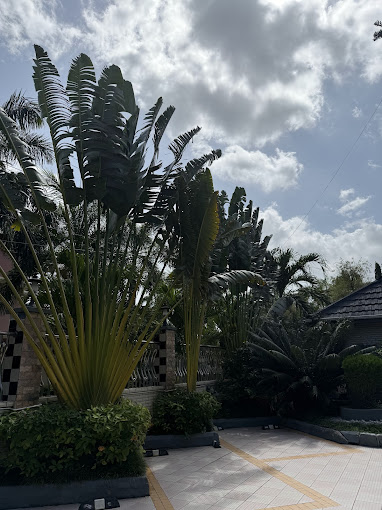 Konfa Business Lodge