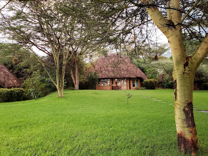 Elewana Kifaru House