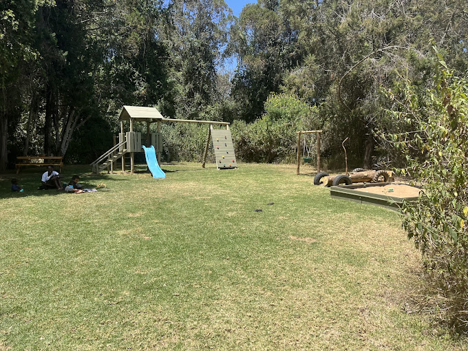 The Timau Collective