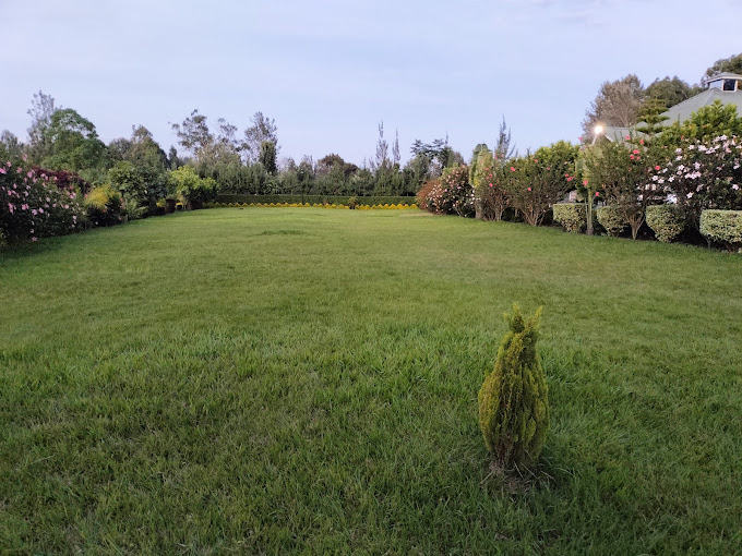 The Legacy by J.Kirimi