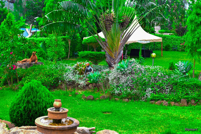 CEDAR GARDEN & HOTEL MERU