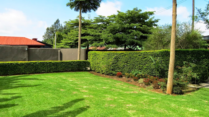 Kundayo Serviced Apartments Lodge