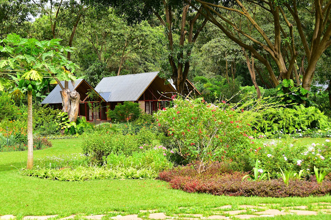 Tumbili Lodge Arusha