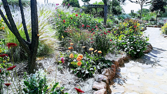 Go Wild Africa Ltd at Olepangi Farm