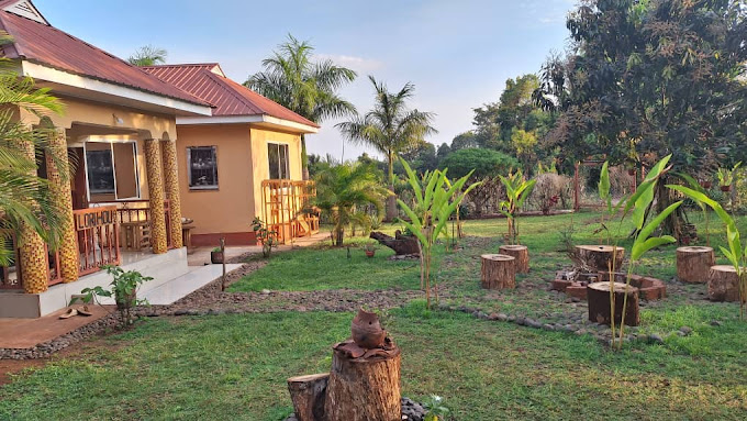 MSAMARIA LORI HOUSE HOSTEL