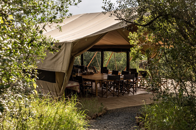 Moon’s Camp – The Safari Series Lolldaiga