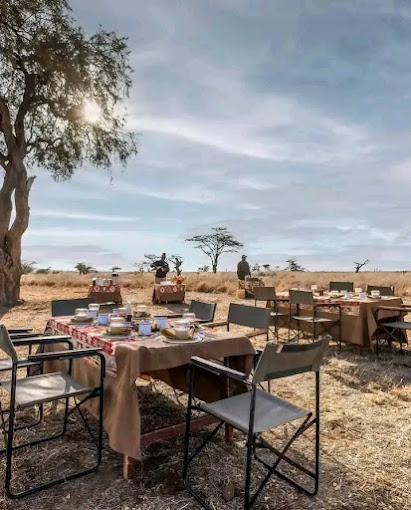 Lewa Safari Camp by Elewana