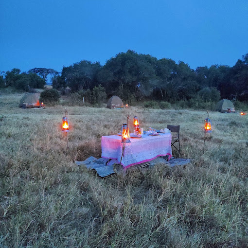 Moon’s Camp – The Safari Series Lolldaiga