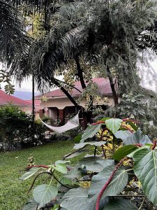 Homefeeling NENEU Lodge