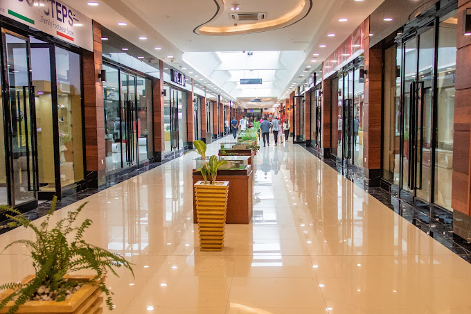 Palm Village mikocheni