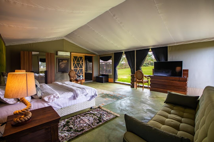 Kilimanjaro Luxury Camp