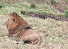 Arusha National Park