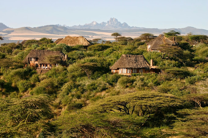 Lewa Wilderness