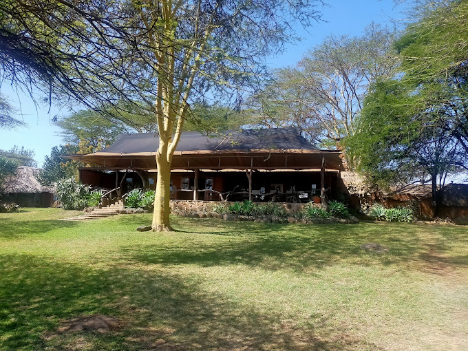 Lewa Safari Camp by Elewana