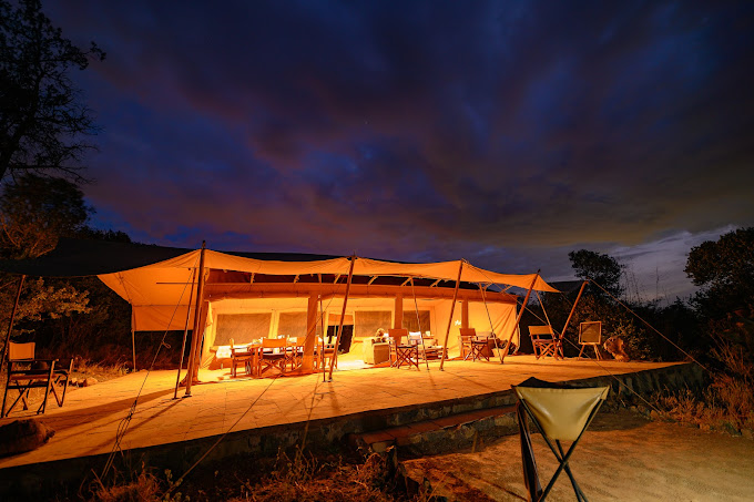 Moon’s Camp – The Safari Series Lolldaiga