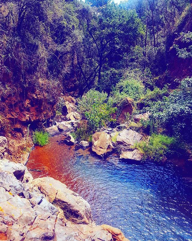 Ngare Ndare Forest Ecotourism