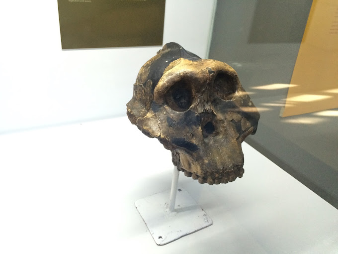 National Museum and House of Culture