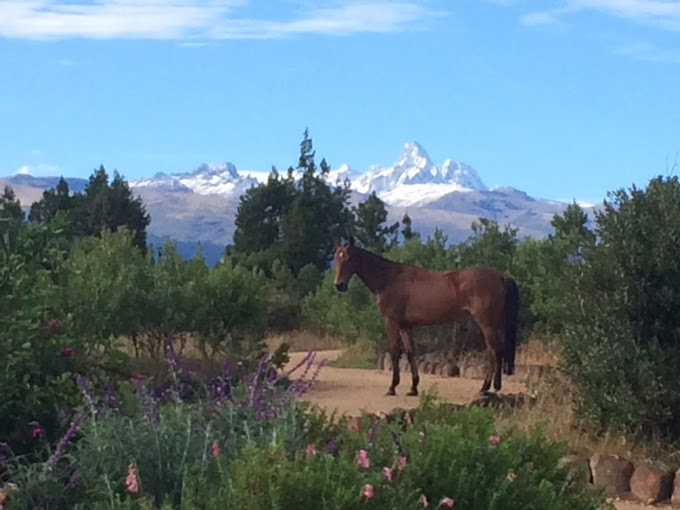 Go Wild Africa Ltd at Olepangi Farm