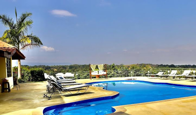 Pink Flamingo Boutique Hotel