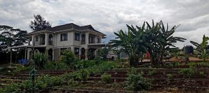 Radhe radhe farm house