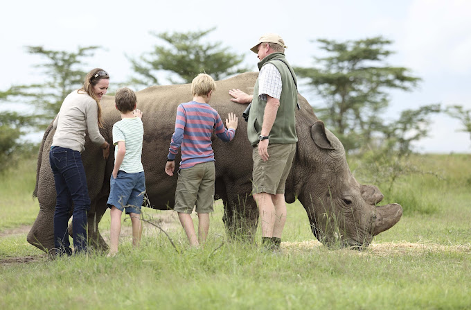 Asilia Ol Pejeta Bush Camp