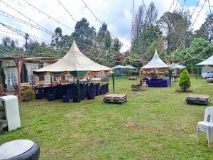 Ridgeways Gardens, Meru