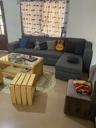 Cactus house experience