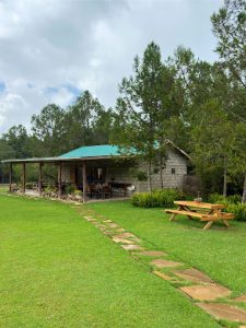 The Timau Collective