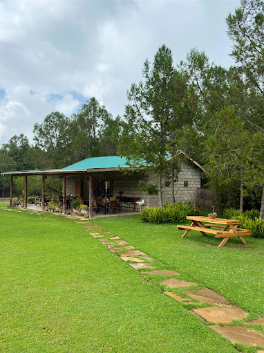 The Timau Collective