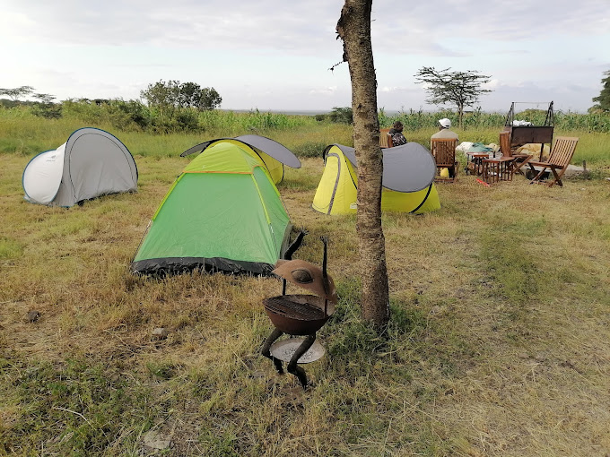Whistling Thorns Olpejeta